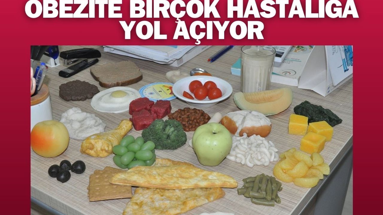 Obezite Birçok Hastalığa Yol Açıyor